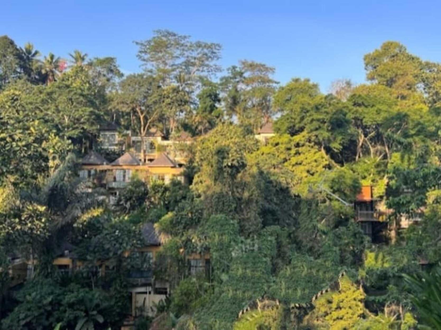 Pondok Kungkang Villa 2 Убуд Экстерьер фото