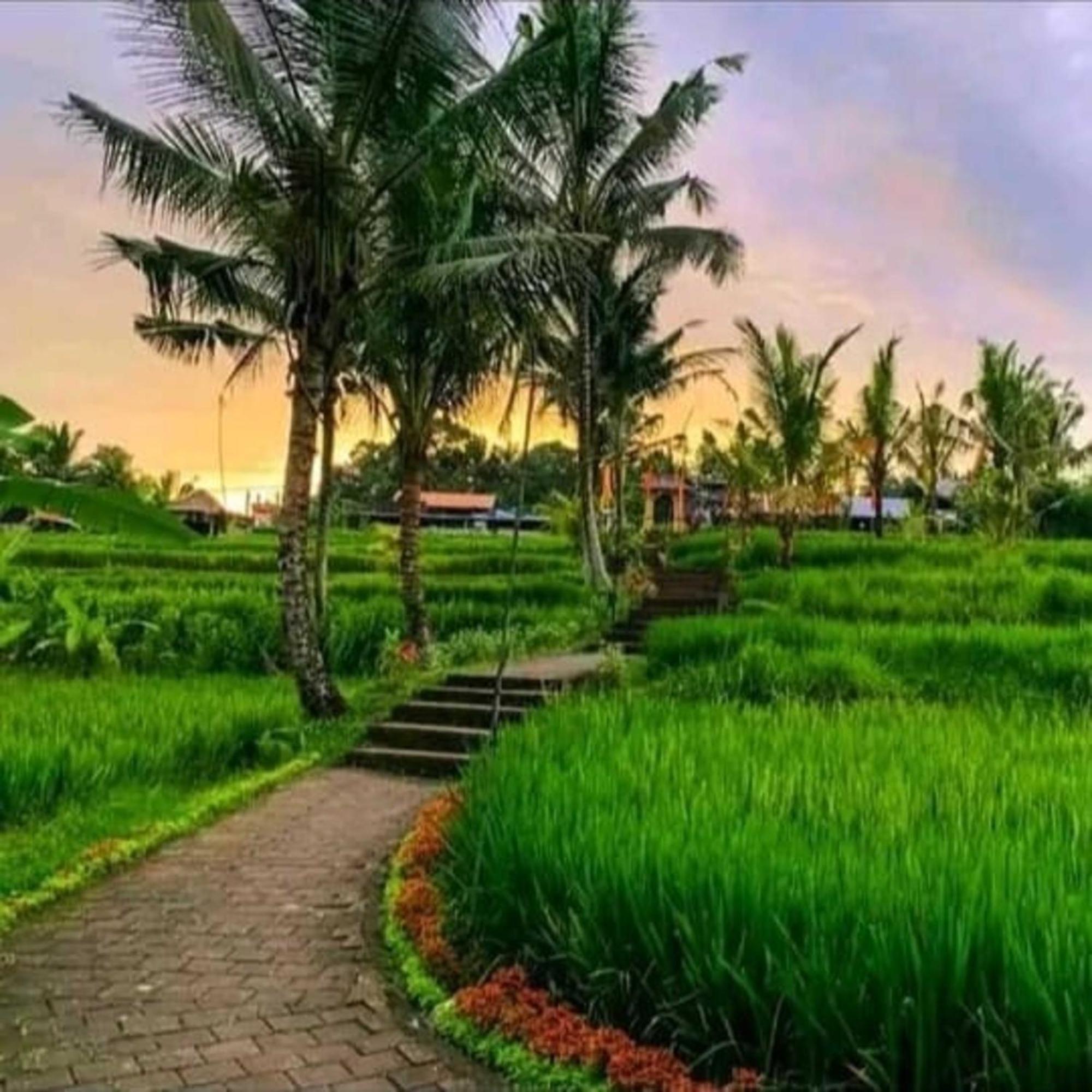 Pondok Kungkang Villa 2 Убуд Экстерьер фото